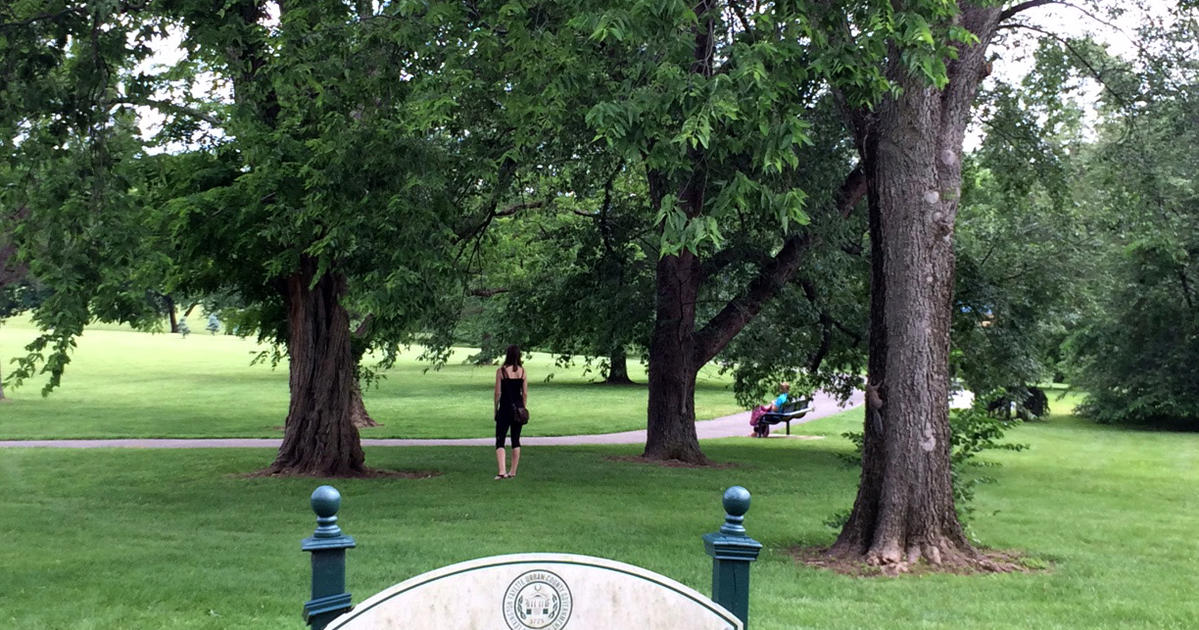 UK Research Study Seeks Healthier People and Healthier Trees UKNow